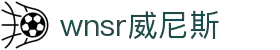 wnsr威尼斯(中国)股份有限公司